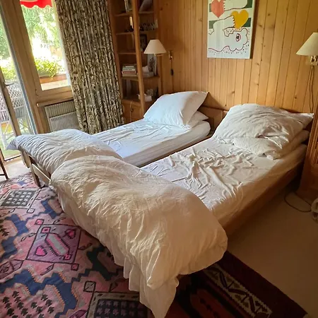 Magnifique Gstaadt Apartmán Gstaad