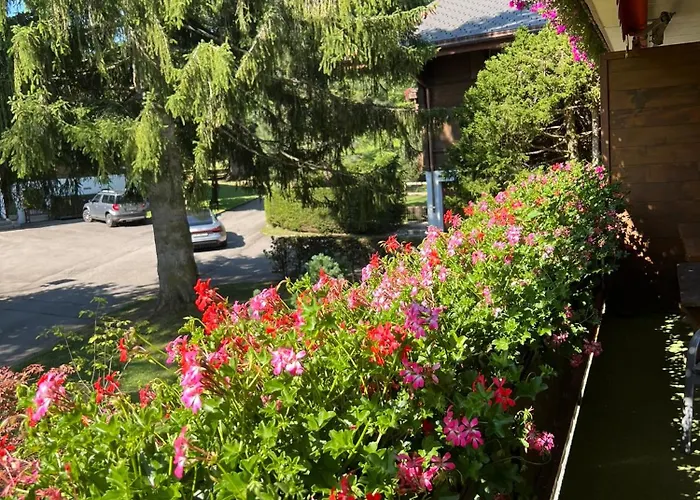 Magnifique Gstaadt Lejlighed *