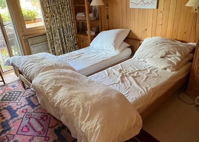 Magnifique Gstaadt Lejlighed Gstaad